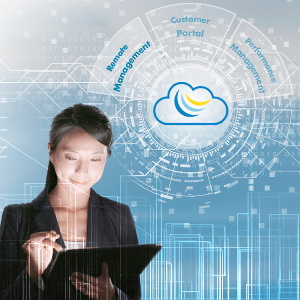 REMOTE MANAGEMENT: SECURE REMOTE MAINTENANCE OF BUILDINGS